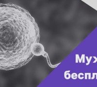 Двойная защита: Почему комбинация Фертил Андро и Астаксантин — идеальное решение для зачатия