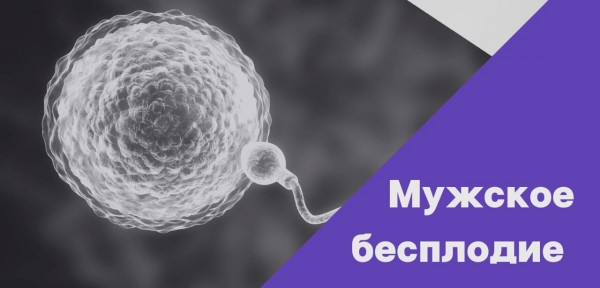 Двойная защита: Почему комбинация Фертил Андро и Астаксантин — идеальное решение для зачатия