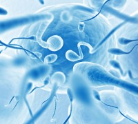 Мужское бесплодие: современный взгляд на диагностику и эффективное лечение