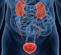 ЭФФЕКТИВНОСТЬ КОМБИНИРОВАННОГО ФИТОПРЕПАРАТА ПРОСТОТИАЛЬ ФОРТЕ В ПРОФИЛАКТИКЕ ХРОНИЧЕСКОГО ПРОСТАТИТА: РЕЗУЛЬТАТЫ КЛИНИЧЕСКОГО ИССЛЕДОВАНИЯ