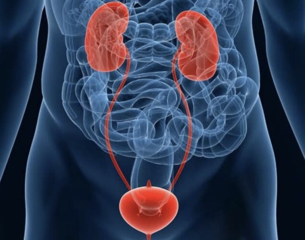 ЭФФЕКТИВНОСТЬ КОМБИНИРОВАННОГО ФИТОПРЕПАРАТА ПРОСТОТИАЛЬ ФОРТЕ В ПРОФИЛАКТИКЕ ХРОНИЧЕСКОГО ПРОСТАТИТА: РЕЗУЛЬТАТЫ КЛИНИЧЕСКОГО ИССЛЕДОВАНИЯ