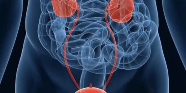 ЭФФЕКТИВНОСТЬ КОМБИНИРОВАННОГО ФИТОПРЕПАРАТА ПРОСТОТИАЛЬ ФОРТЕ В ПРОФИЛАКТИКЕ ХРОНИЧЕСКОГО ПРОСТАТИТА: РЕЗУЛЬТАТЫ КЛИНИЧЕСКОГО ИССЛЕДОВАНИЯ