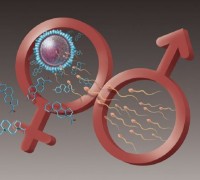 Осознанное отцовство: Полное руководство по подготовке мужчины к зачатию здорового ребенка