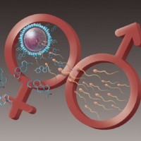 Осознанное отцовство: Полное руководство по подготовке мужчины к зачатию здорового ребенка